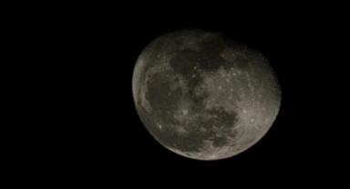 Görüntüsüyle görenleri büyüledi