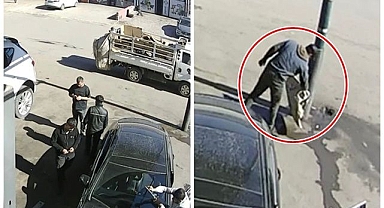 Güneşte kurutulan parça hırsızların hedefi oldu!