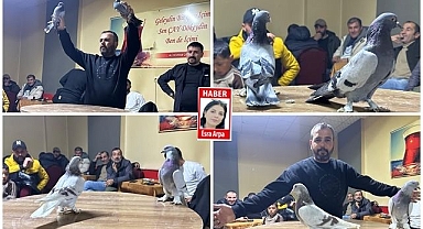 Güvercin tutkunlarının mezattı  200 liradan 1 milyona!