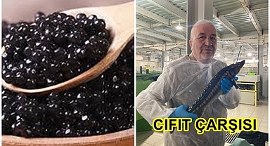 Havyarı Dadaşla tanıştıracak