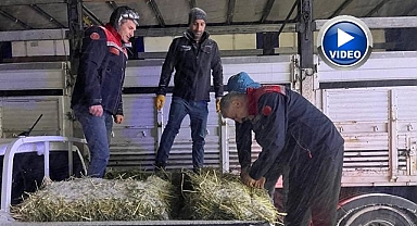 Hayvanlar aç kalmasın diye imdada yetiştiler