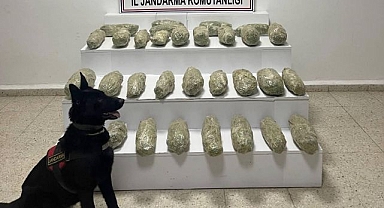  Jandarma’dan çifte operasyon