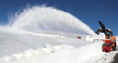 'Kar Kaplanları' yaşam için yol açıyor