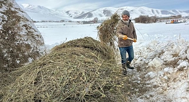 Kar ve soğuk havada besicilerin zorlu mesaisi sürüyor