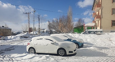 Kar yağışı hayatı felç etti