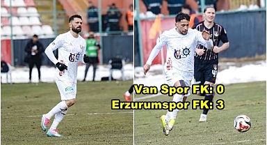 Kartal kediyi avladı!