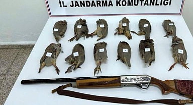 Keklik avına binlerce lira ceza