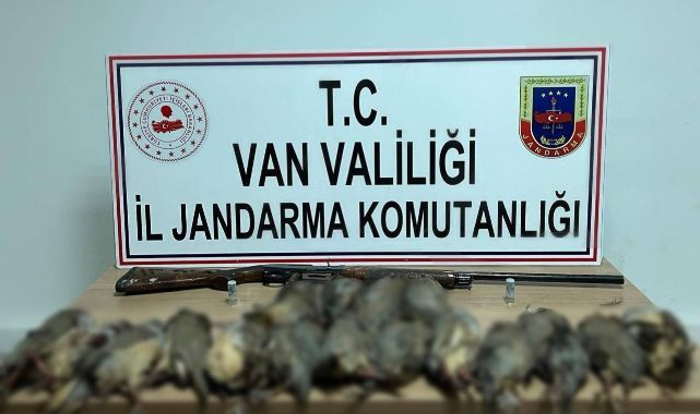 Keklik avına para cezası yağdı!