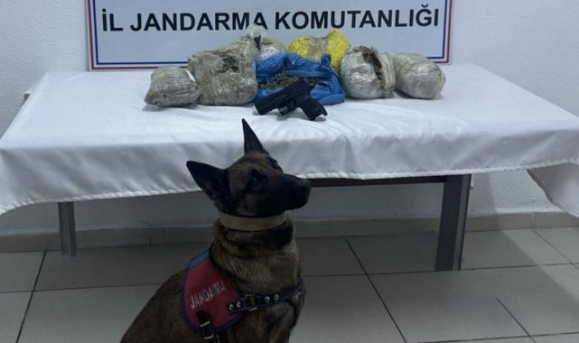 Kilolarca kubar esrar ele geçirildi!