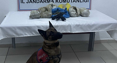 Kilolarca kubar esrar ele geçirildi!