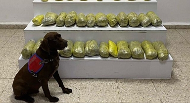 Kilolarca uyuşturucu ele geçirildi   