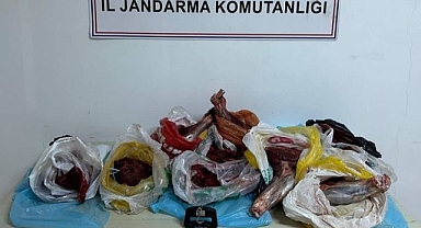 Kilolarca yaban domuzu eti ele geçirildi