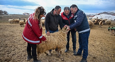 Küçükbaş hayvancılığa destek projesi çiftçiyi sevindirdi