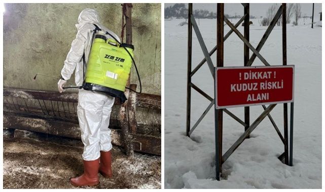 Kuduz alarmı köyü harekete geçirdi! Ekipler yardıma koştu