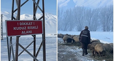 Kuduz vakası alarma geçirdi! Köy karantinaya alındı  