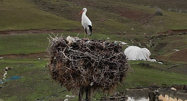 Leylekler bu köyden gitmiyor 