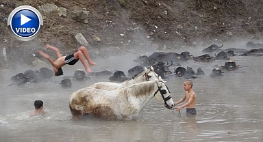 Manda ve atların kışın ortasında kaplıca keyfi   