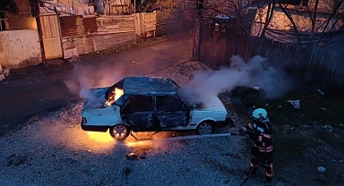 Park halindeki alev aldı!