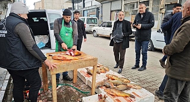 Ramazan ayında sazan balığına ilgi