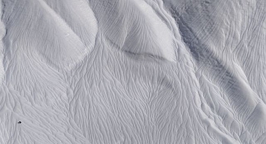  Rüzgar karı adeta işledi