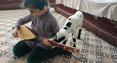 Soğuk hava kuzuları eve taşıdı