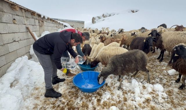 Suların donduğu bölgede ekipler hayvanları unutmadı   