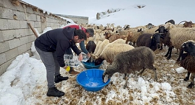 Suların donduğu bölgede ekipler hayvanları unutmadı   