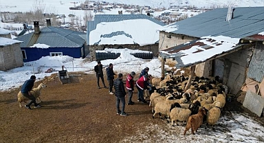 Sürülere kış mevsimine özel mobil sağlık hizmeti