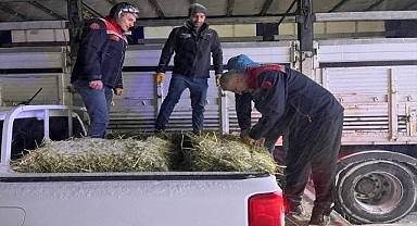 Tır yolda kaldı hayvanların imdadına ekipler yetişti!