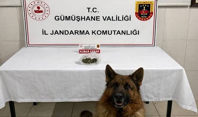 Zehir tacirlerine operasyon