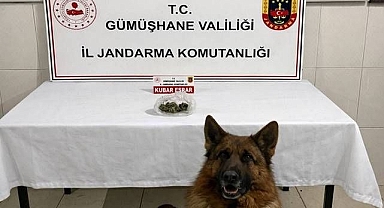 Uyuşturucu tacirlerine geçit yok!