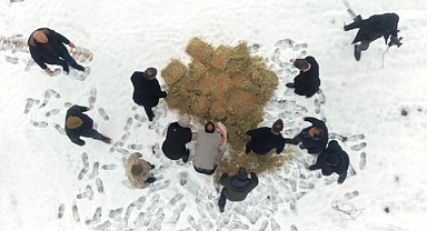 Yaban hayatı için doğaya yem bırakıldı