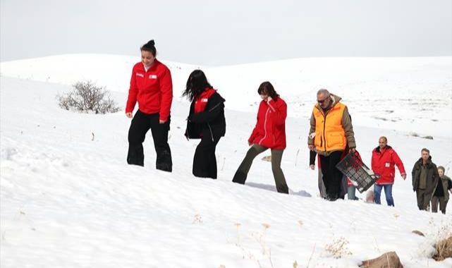 Yaban hayvanları unutulmadı