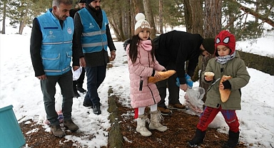 Yaban hayvanlarını unutmadılar