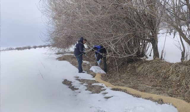 Yaban kuşları için doğaya yem bırakıldı