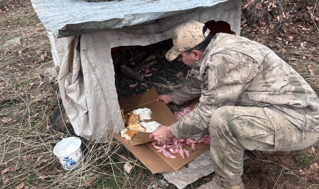 Yavru köpeklere jandarmandan şefkat eli   