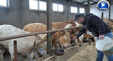 Yem desteği çiftçinin yüzünü güldürdü