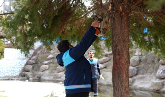 Yeşil alanlarda kapsamlı çalışma yapıldı 