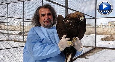 Yırtıcı kuşlar şifa bulup doğaya dönüyor