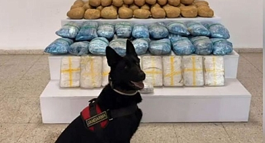 Zehir tacirlerine nefes aldırmadılar