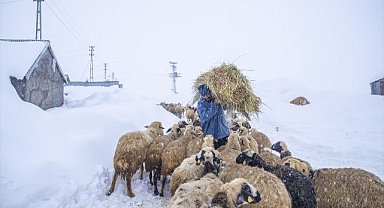 Zorlu kış şartlarına göğüs geriyor