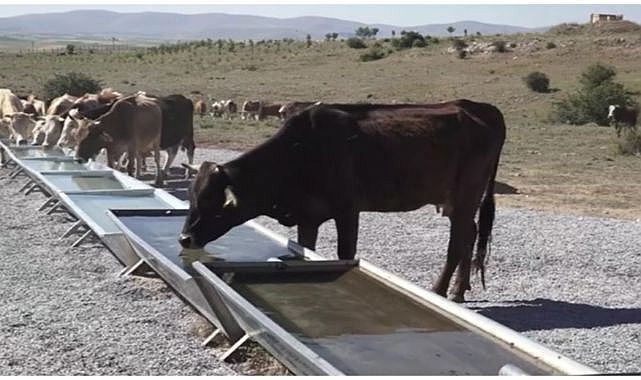 SAC SIVAT SATIN ALINACAK