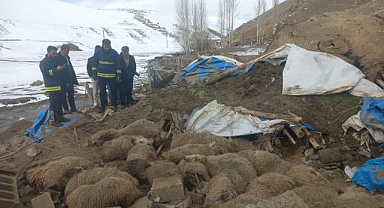 Ahırın çökmesiyle 23 küçükbaş hayvan telef oldu