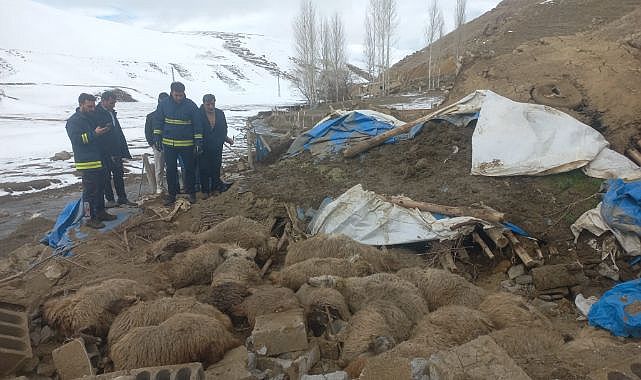 Ahırın çökmesiyle 23 küçükbaş hayvan telef oldu