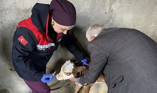 Aman dikkat! Hayvanlardan insana bulaşabiliyor