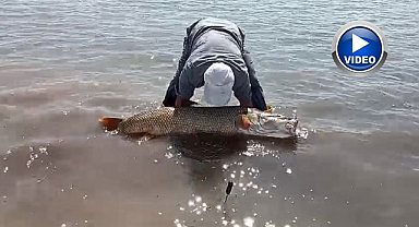 Amatör balıkçılar turnayı gözünden vurdu!