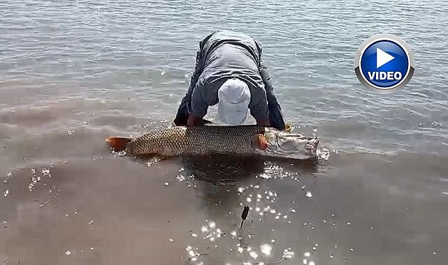 Amatör balıkçılar turnayı gözünden vurdu!
