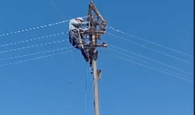 Aras Elektrik’ten Doğa Dostu Adım: Fırtınada Zarar Gören Leylek Yuvaları Yeniden Yerine Yerleştirildi