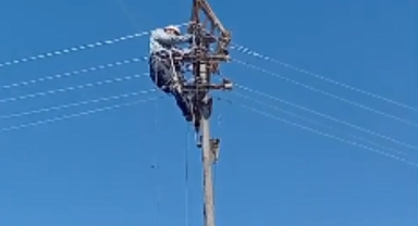 Aras Elektrik’ten Doğa Dostu Adım: Fırtınada Zarar Gören Leylek Yuvaları Yeniden Yerine Yerleştirildi