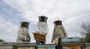 Arılar uyandı, bal sezonu başladı